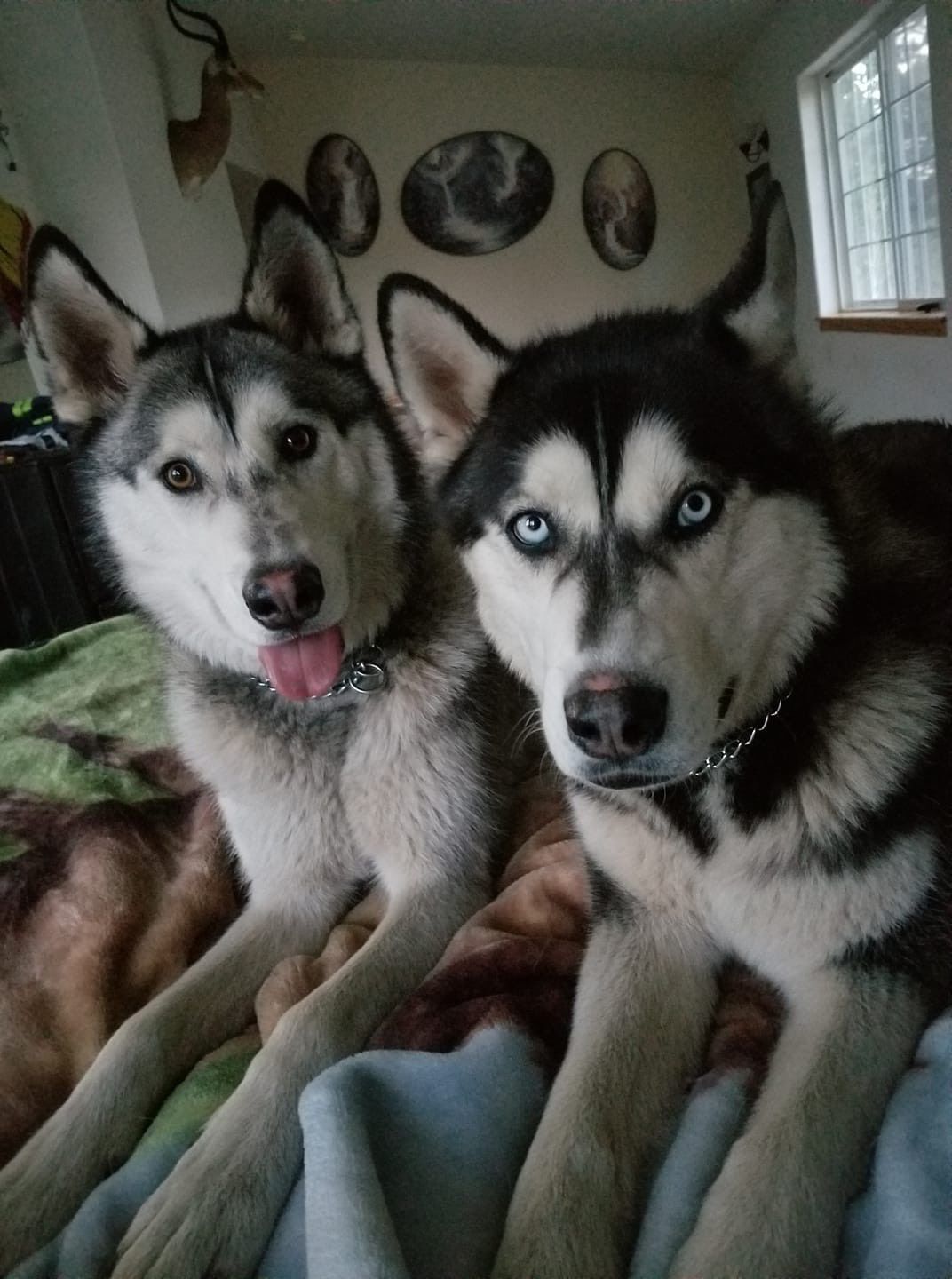 Titan and Sakari